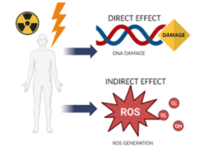 Radiation Therapy